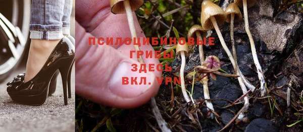 дживик Белоозёрский