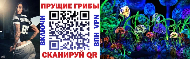 Псилоцибиновые грибы Psilocybine cubensis  даркнет сайт  Онега 